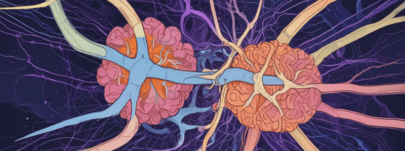 Thalamocortical Pathways and Ascending Arousal System