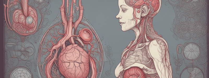 Ninja Nerd - Circulatory System | Arteries & Veins of the Fetus | Fetal Circulation Model