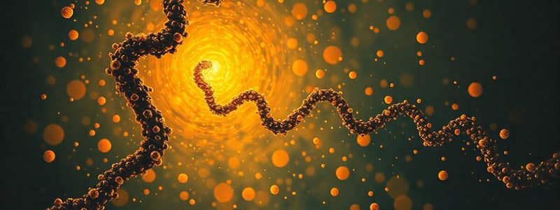 Molecular Biology: DNA and RNA Quiz