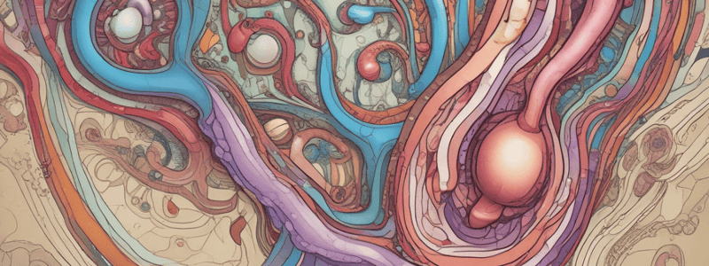 Nephron Structure and Function