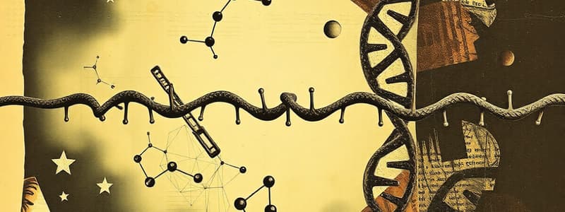 Nucleic Acids Overview Quiz