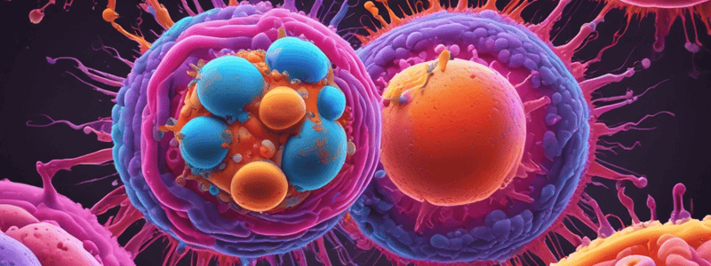 Types of Primary Immunodeficiencies