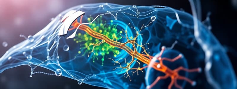 Nucleocytoplasmic Transport Overview