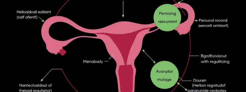 Hormonal Regulation in the Menstrual Cycle