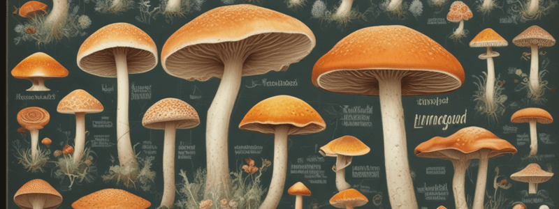 Structure, Reproduction, Classification, and Ecological Importance of Fungi