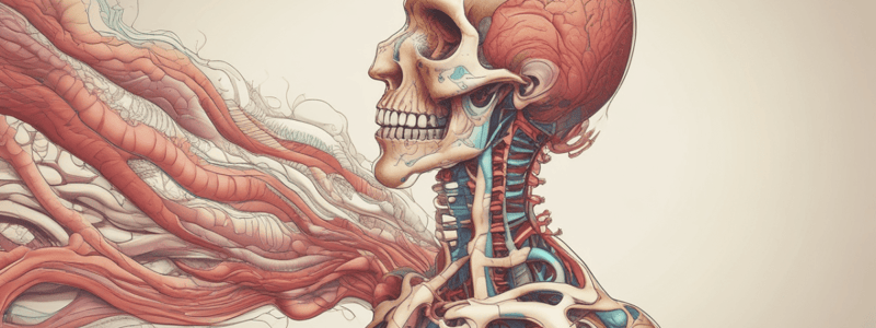 Digestive System I: Oral Cavity and Associated Structures