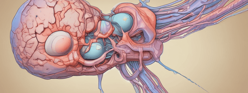 Prolaktinom: Ein Hypophysentumor