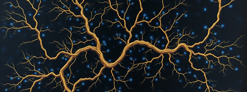 AHE: BLOCK 2: CNS 2 (OF 2): SPINAL CORD & PATHWAYS