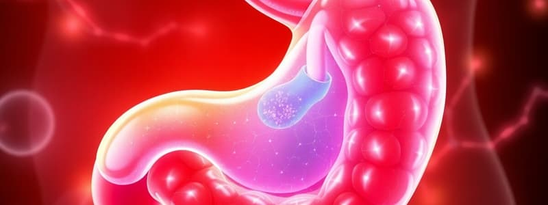 L30. Physiology - Endocrine Pancreas