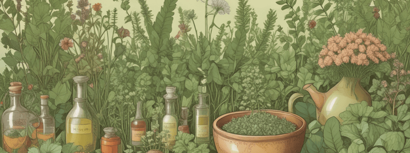 General Methods for Phytochemical Investigation of Herbal Products