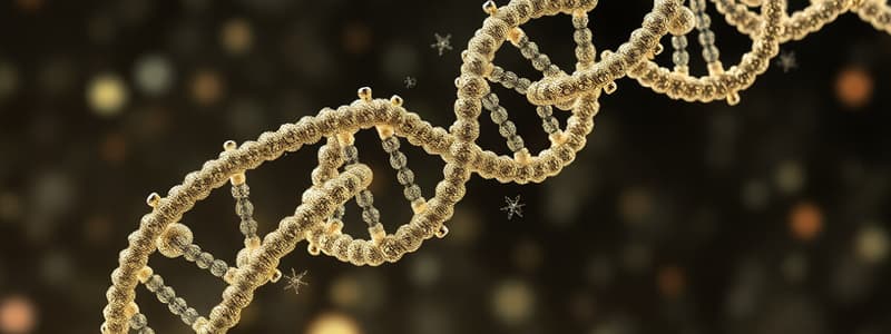 DNA and RNA Structure Quiz