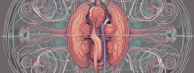 Kidney Structure and Function for Year 1 Dentistry