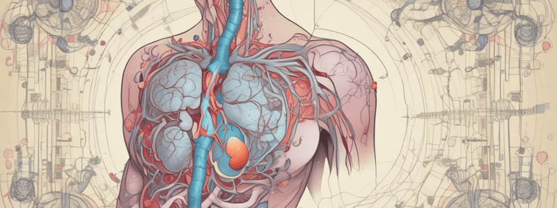 Endocrine System: Part 1 - Vocabulary