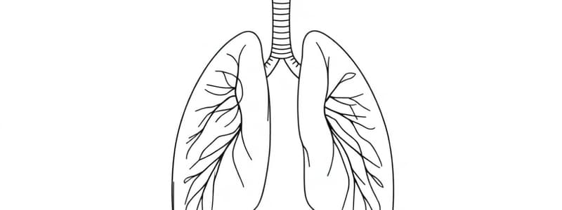 Meccanica Respiratoria e Pressione Polmonare (Fisiologia 45)