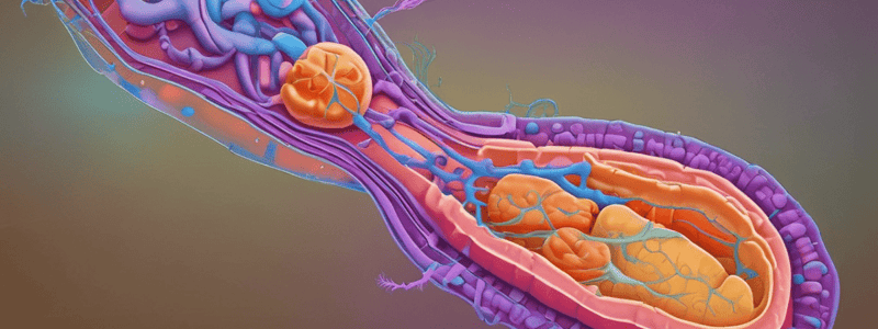 Pancreas Enzymes and Pancreatitis