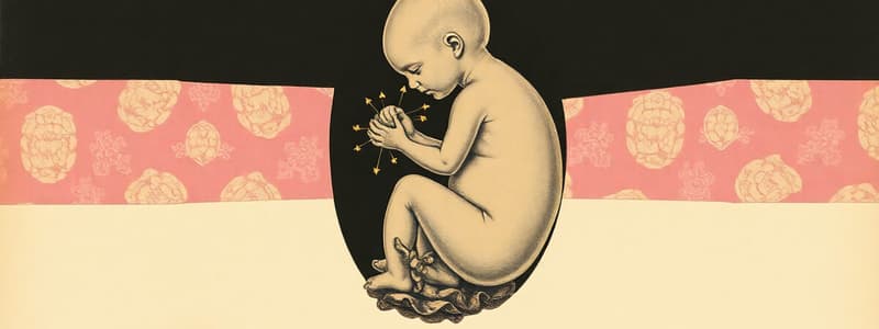 Fetal Development: Ninth Week to Birth