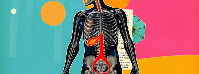 Lactic Acid System Overview