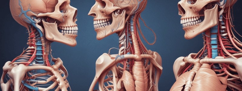 Upper Gastrointestinal Tract: Mouth