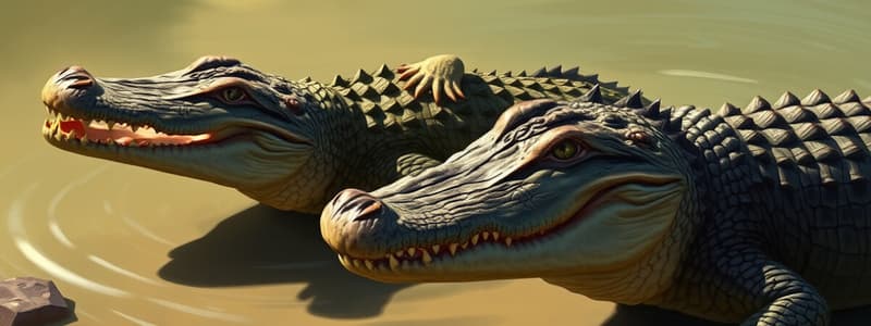 Crocodiles vs Alligators Quiz