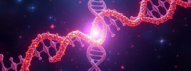 Central Dogma and DNA Structure Quiz