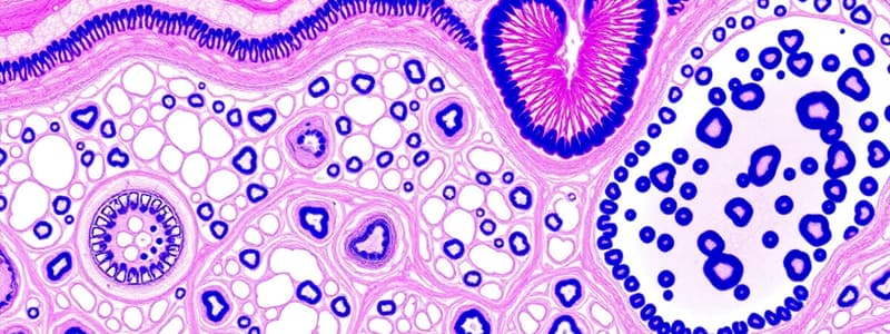 Introduction to Histology Tutorial