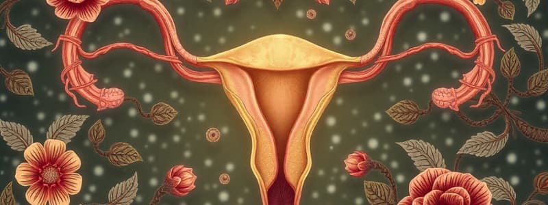 Human Reproductive System Overview