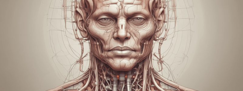 Physiology of Micturition and Voiding Disorders