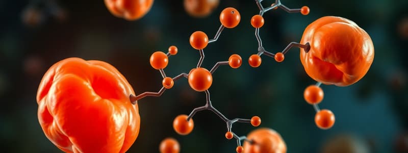 Fatty Acid Metabolism Quiz