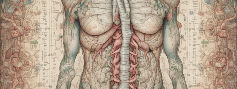 Thyroid Gland Function Quiz