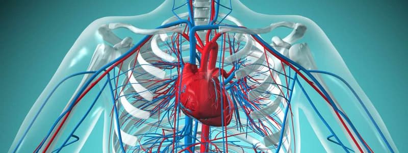 Cardiovascular System Part 1