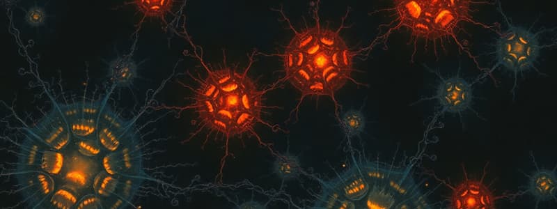 Neuroscience Quiz: Glial Cells and Neural Circuits