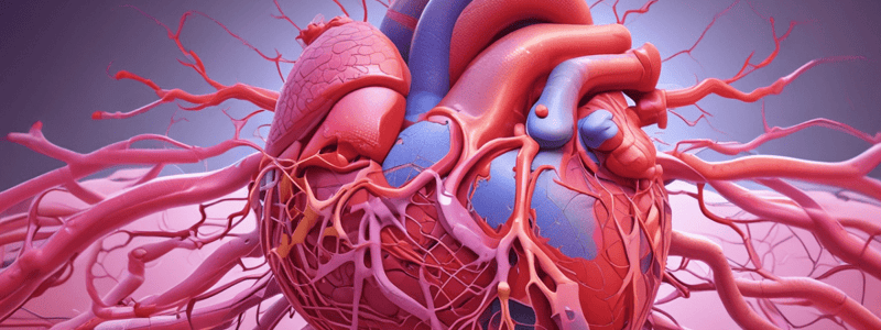 4)Cardiovascular Histology - Wall Structure and Function