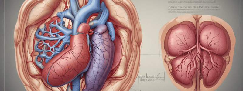 Functions of the Liver in the Gastrointestinal System