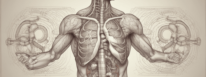 Respiratory System: Types of Pressure