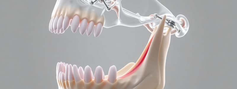 Cinemática Mandibular