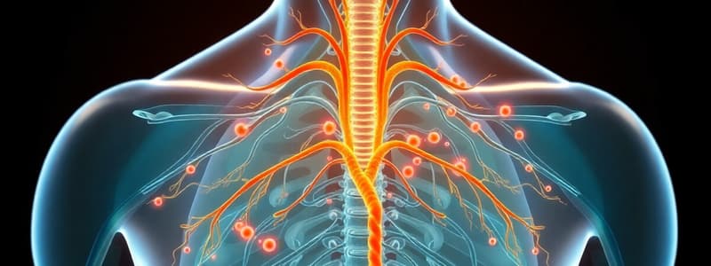 El Sistema Neuroendocrino y sus Funciones