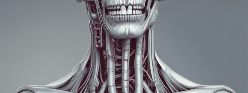 Larynx Overview: Laryngeal Cartilages