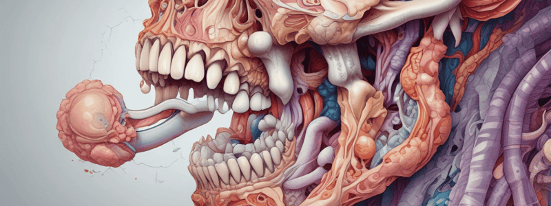 Anatomy of Taste Buds and Papillae