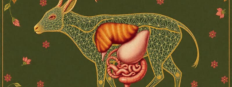 Nutrition and Digestive System Quiz