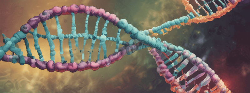 DNA Mutations and Gene Products