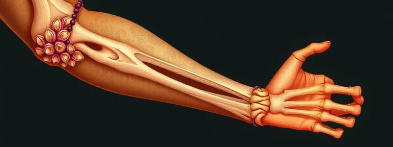 Fractures & Dislocations of the Upper Limb