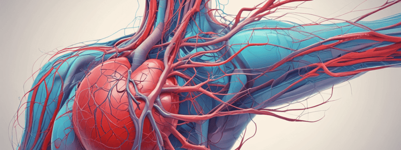 Circulatory System Parts Overview