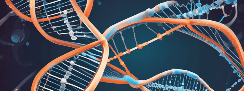 Biology DNA Nucleotides