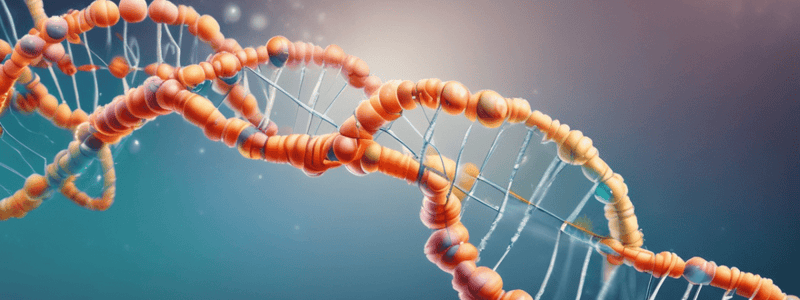 DNA Structure and Stability