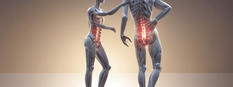 Types of Low Back Pain