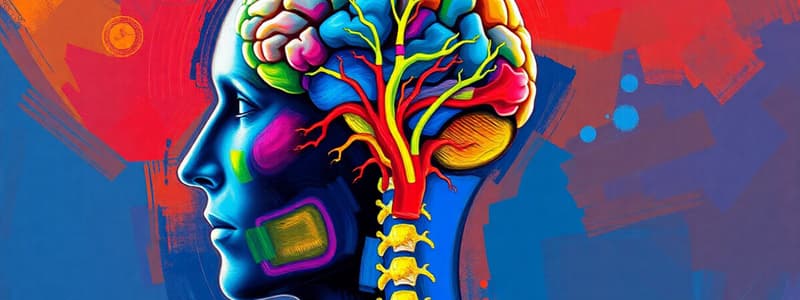 Central Nervous System: Brain and Spinal Cord