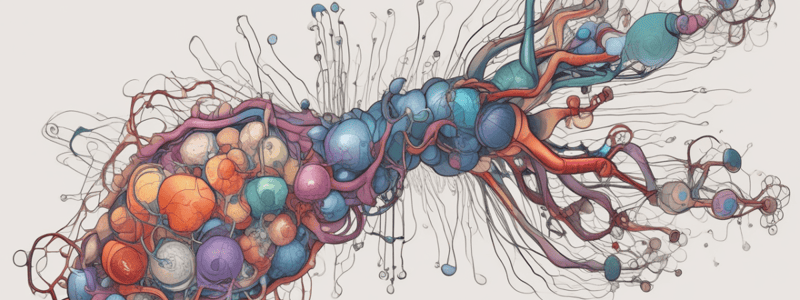 ACh Synapse and Neurotransmitters