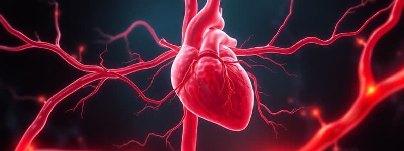 Cardiovascular System Overview