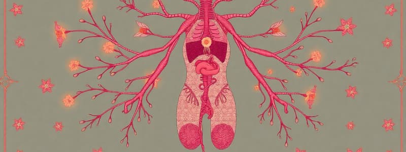 Lymphatic System Overview and Components