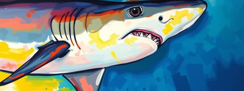 Shark Identification and Traits Quiz